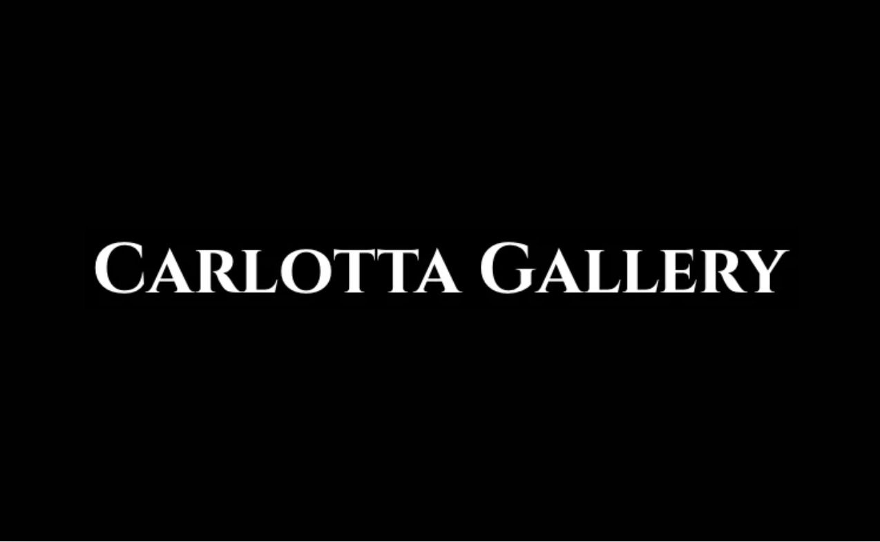 Carlotta Gallery｜多主题线上摄影展征件